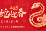 辭舊迎新，蛇舞華章丨深圳容金科技全體員工祝您新春快樂！